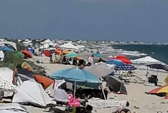 Ultimele BMW-uri sălbatice de pe plaja Corbu, ameninţate de extinderea şezlongurilor