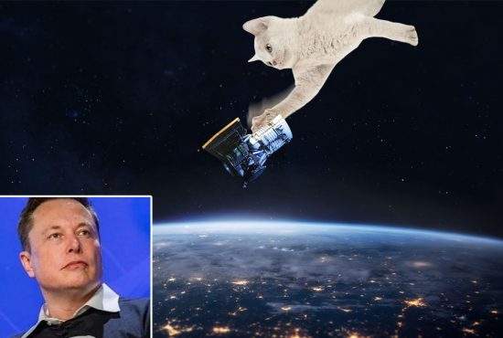 Elon Musk, devastat! O pisică spaţială i-a dărâmat 4 sateliţi de pe orbită