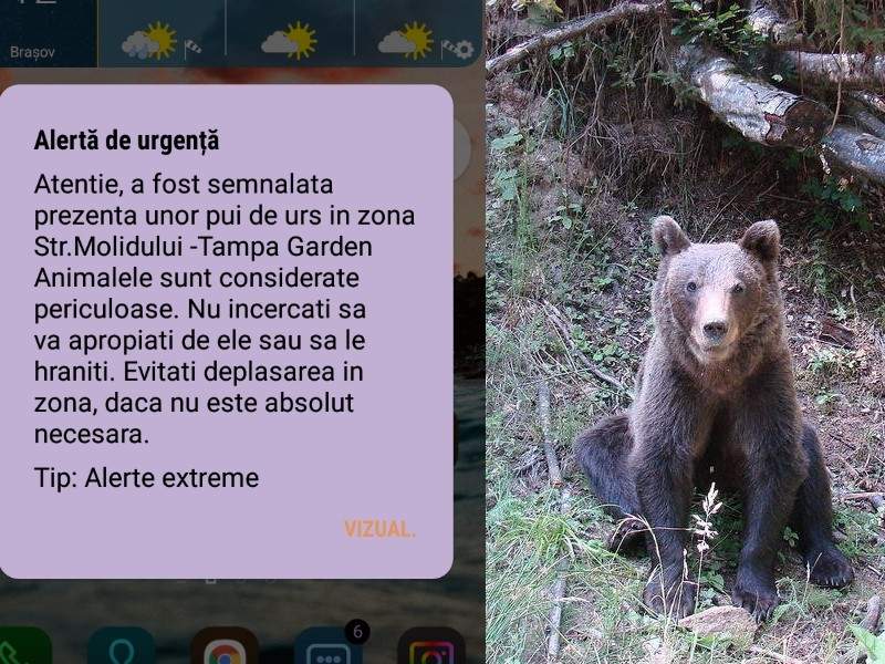 Un urs cere să nu se mai trimită mesaje RoAlert despre el, invocând GDPR