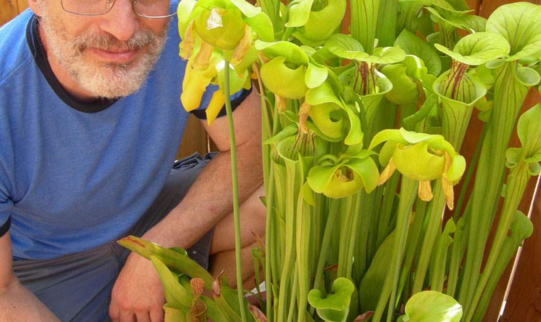 Unui român i s-a stricat la burtă planta carnivoră și i-a împuțit toată casa