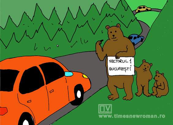 Migrația urșilor