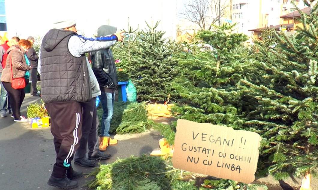 Mai mulți vegani dați afară din târgurile de brazi, că voiau să guste din ei