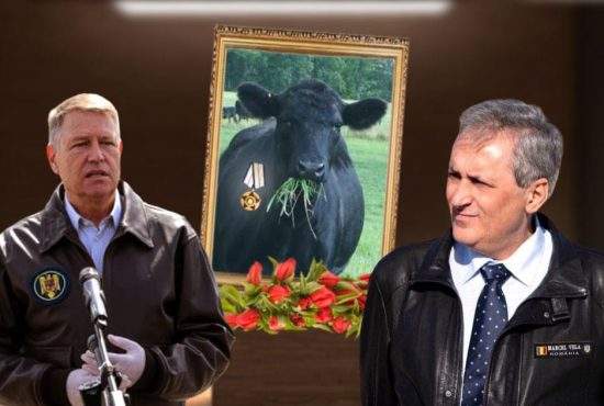 Vaca din care s-a făcut geaca de piele a lui Vela, decorată post-mortem de Iohannis