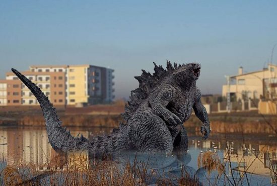 Localnicii din Chitila au poluat lacul și acum sunt terorizați de monstrul Chitzilla