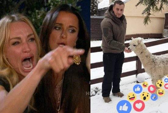 Românii cu pisici cer banarea lui Godină din FB, că le ia toate Like-urile cu alpaca