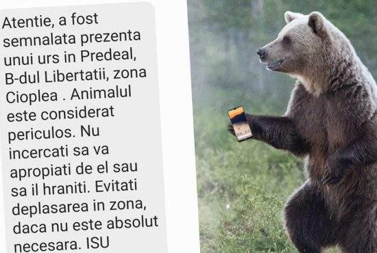 Un urs şi-a luat telefon ca să vadă când scrie de el pe RoAlert