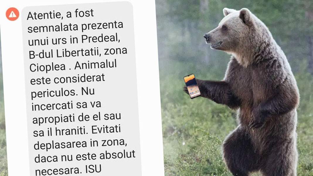 Un urs şi-a luat telefon ca să vadă când scrie de el pe RoAlert