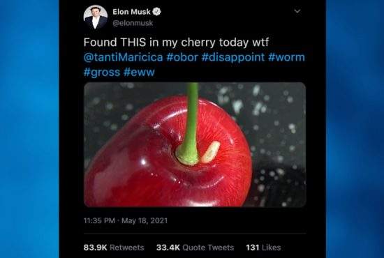 Preţul cireşelor, minim istoric după ce Elon Musk a scris pe Twitter că au viermi