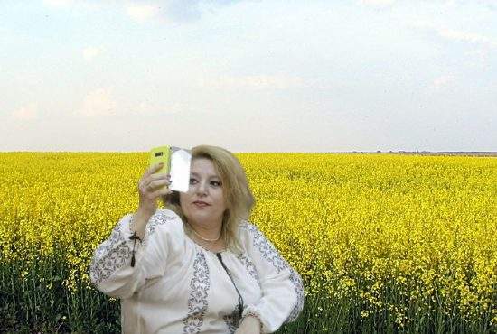 2 hectare de rapiță puse la pământ după ce Șoșoacă s-a tăvălit pentru un selfie