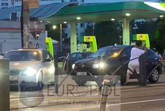 Dramatic! Mai avem un singur cocalar care se bate în trafic cu bâta de oină