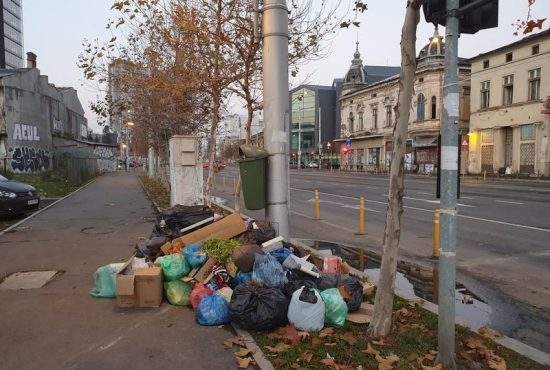 Francezii, oripilaţi de gunoiul din Sector 1: Dacă era unul de-al nostru primar…
