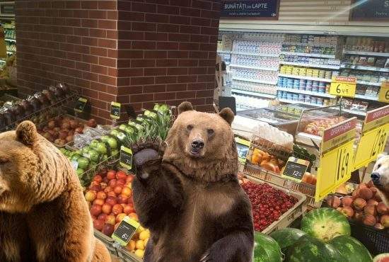 Invazie de urși la un supermarket din Brașov care avea promoție la zmeură