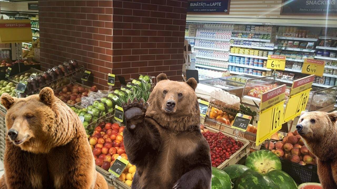 Invazie de urși la un supermarket din Brașov care avea promoție la zmeură