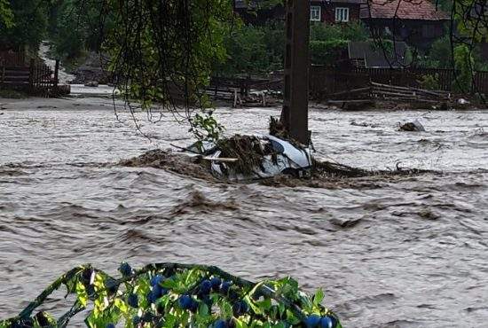 Inundațiile au făcut prăpăd în Bihor. A fost pus la pământ UN PRUN!