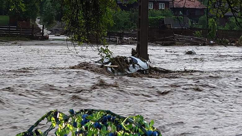 Inundațiile au făcut prăpăd în Bihor. A fost pus la pământ UN PRUN!