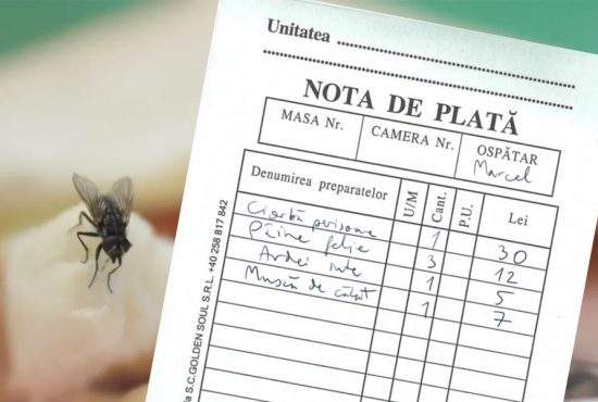 Un turist din Mamaia se plânge că i s-a trecut musca din ciorbă separat pe notă