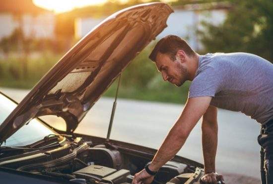 Un român a învăţat să bată şi să troncăne ca să poată vorbi cu Dacia lui