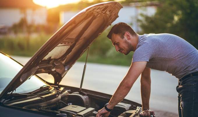 Un român a învăţat să bată şi să troncăne ca să poată vorbi cu Dacia lui