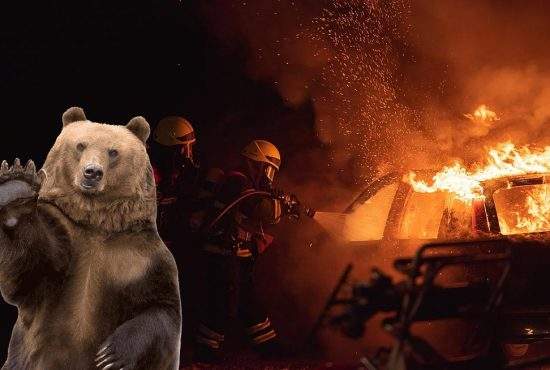 Român atacat de urs după ce a făcut accident lângă o pensiune în flăcări