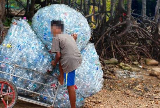 Gata cu ciupercile. Toamna, românii culeg din pădure PET-uri pentru vin