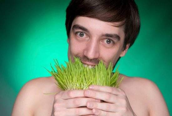 Mai mulți vegani intoxicați după ce au mâncat iarbă din gazon sintetic