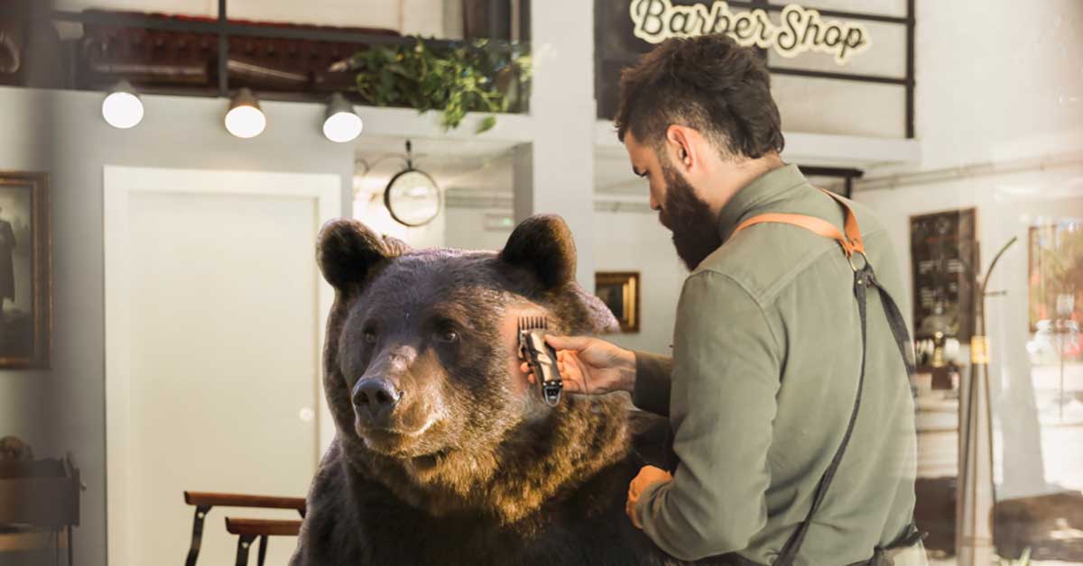 Cea mai periculoasă meserie din lume. El e frizerul de urși din Brașov