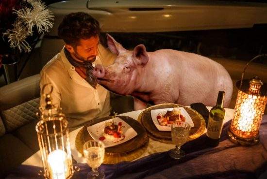 UE interzice hrănirea porcului cu resturi. Va trebui scos la restaurant!