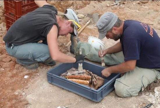 Arheologii au descoperit sub gorunul lui Horea cocenii cu care s-a șters