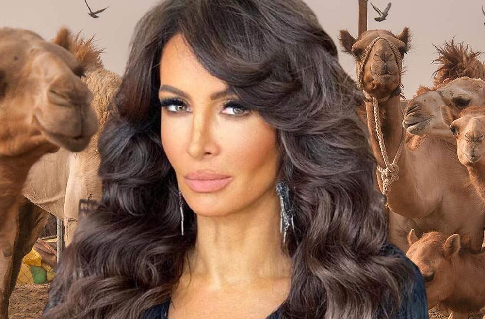 40 de cămile și Mihaela Rădulescu, descalificate la un concurs de frumusețe din Arabia