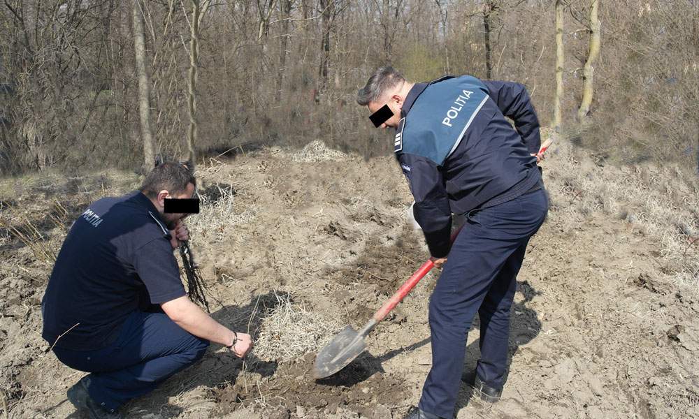 Un polițist a plantat cu mâna lui boscheții unde va sta ascuns peste 20 de ani