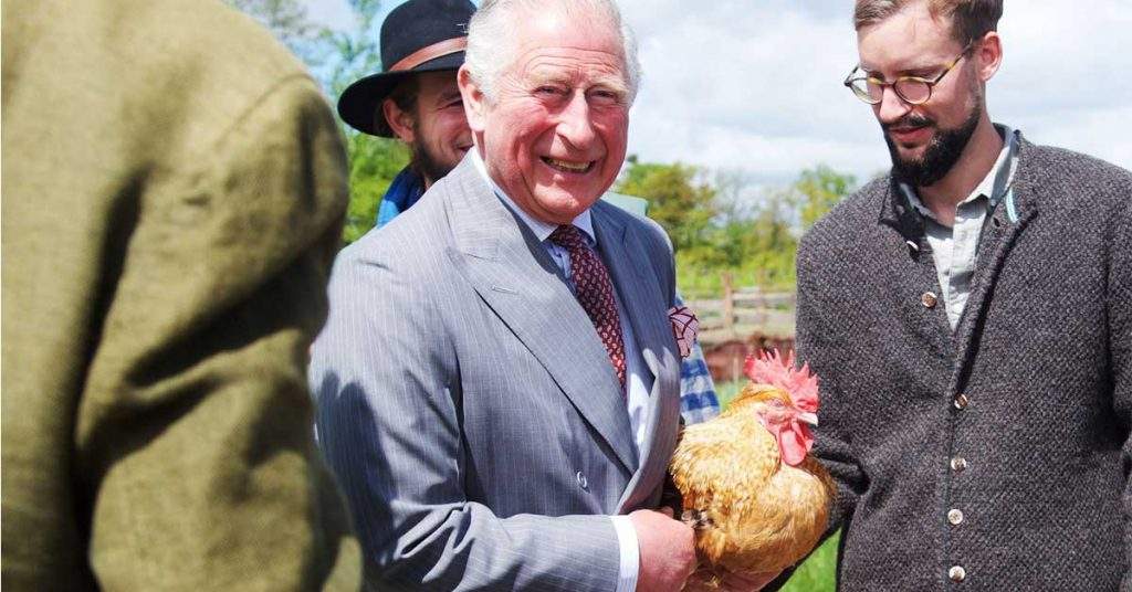 Diplomatic scandal!  Prince Charles, accused of stealing 2 chickens from a neighbor in Viscri thumbnail