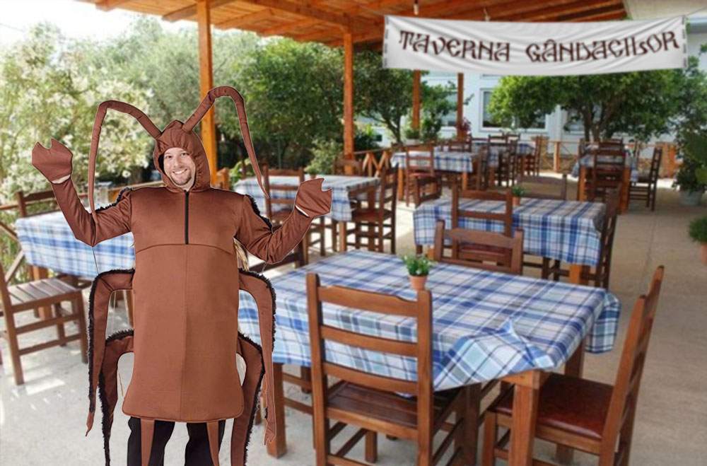 Inspirat de Taverna Racilor, un român a deschis Taverna Gândacilor