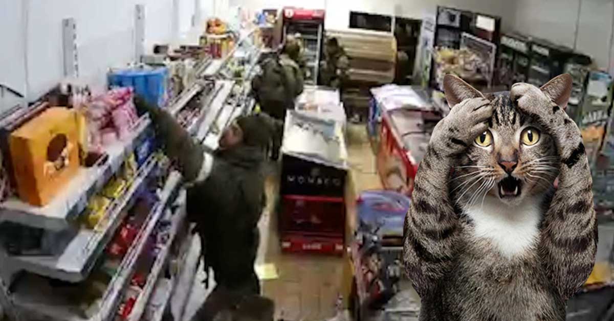 Soldații ruși sunt atât de înfometați încât sparg magazine cu mâncare de pisici