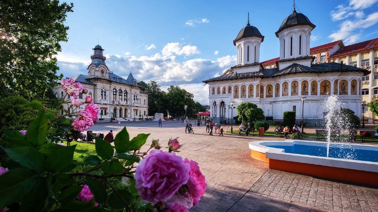 Craiova, singurul oraș european cu spital dedicat turiștilor mușcați de câini