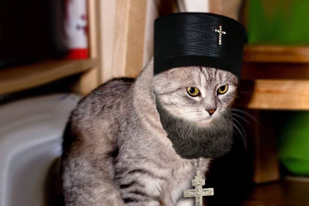 Un român a scăpat de șoareci după ce a îmbrăcat pisica în preot