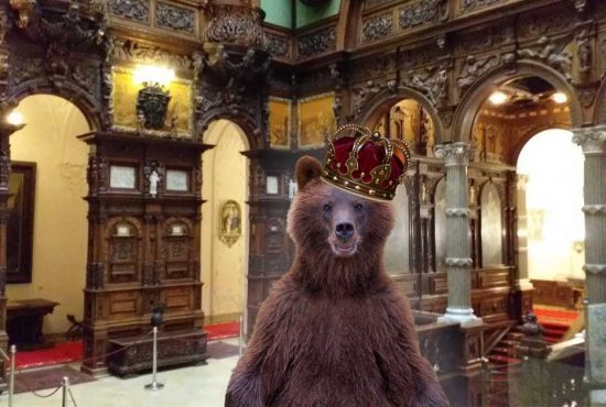 România, din nou monarhie. Un urs a intrat în castelul Peleș și s-a proclamat rege