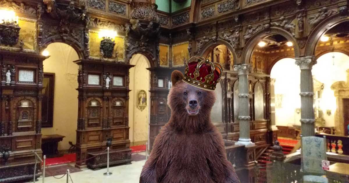 România, din nou monarhie. Un urs a intrat în castelul Peleș și s-a proclamat rege