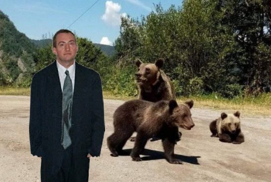 Român amendat de jandarmi că a hrănit un urs şi de CNCD că nu i-a hrănit pe toţi