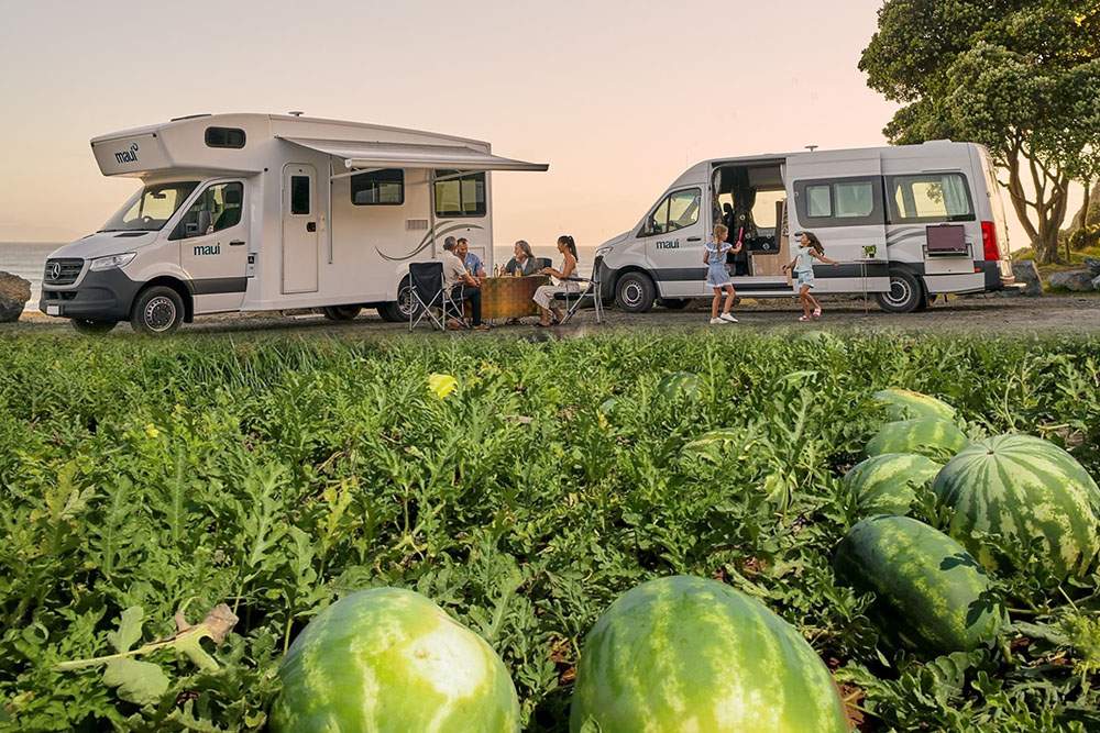 Cel mai ieftin camping. Stai gratis cu rulota la Dăbuleni, dar păzești pepenii