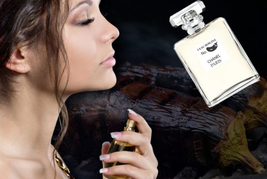 A dat lovitura! Chanel a scos un parfum cu miros de vinete coapte