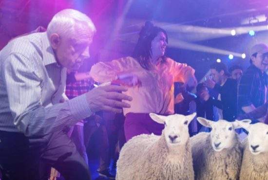 Petre Daea a ieşit în club cu oile ca să sărbătorească revenirea la minister