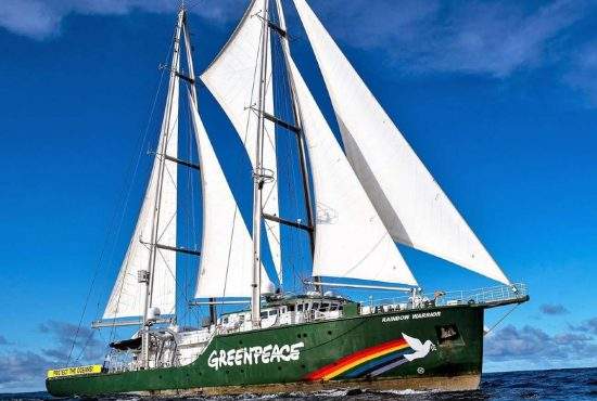Greenpeace vrea ca turistul de Mamaia să fie declarat specie pe cale de dispariție