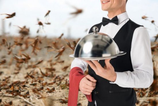 Invazie de lăcuste! Zeci de restaurante din Mamaia le vând deja drept creveţi