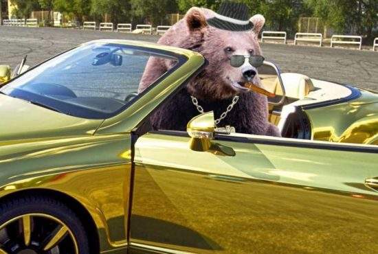 Un urs din Braşov a ajuns miliardar după ce a găsit la tomberon un HDD cu bitcoini