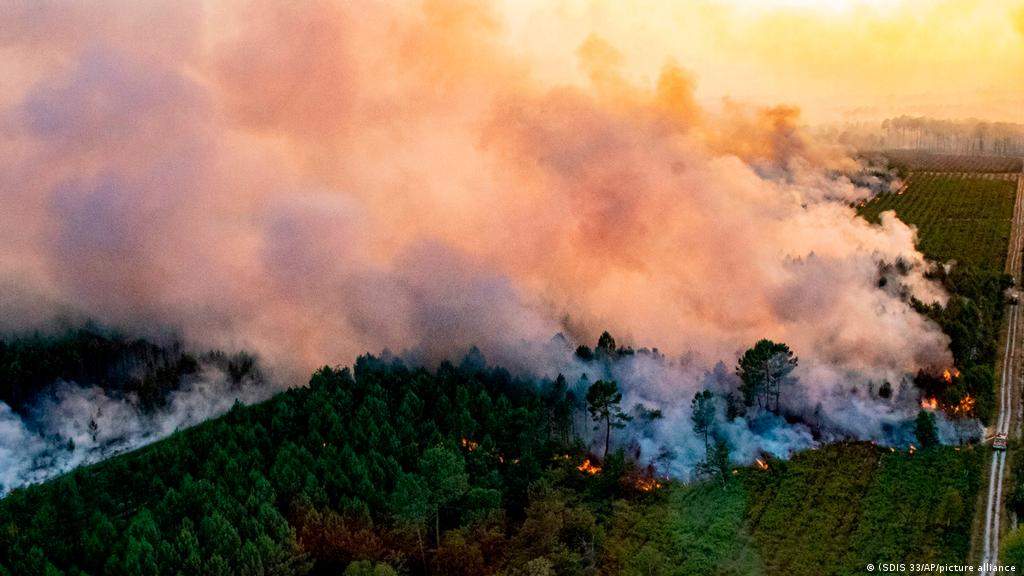 Niște săteni din Dâmbovița au dat foc la pădure să se simtă ca-n Grecia