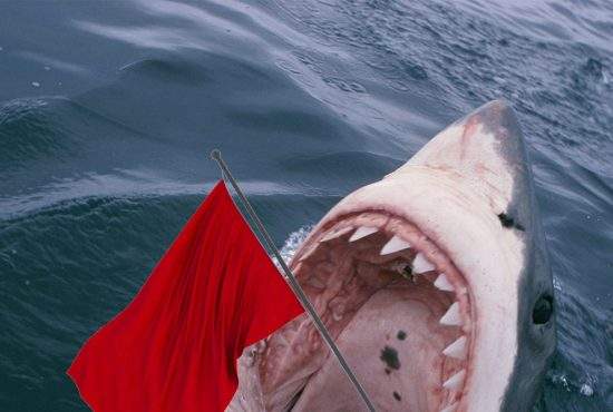 Ura! Liber la scăldat pe Litoral după ce steagul roşu a fost mâncat de rechini
