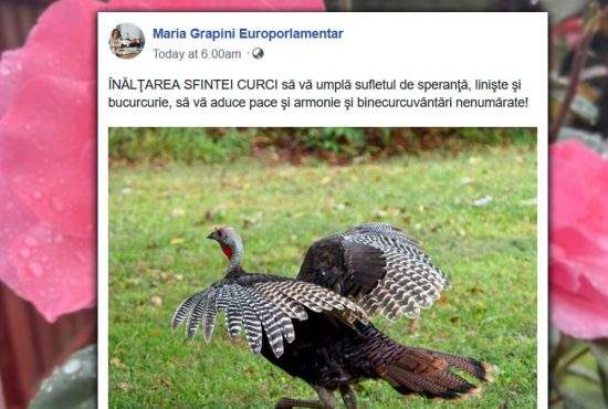 Maria Grapini anunţă că azi sărbătorim Înălţarea Sfintei Curci