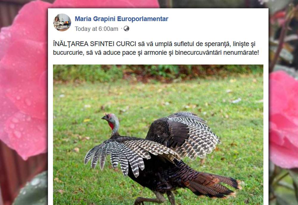 Maria Grapini anunţă că azi sărbătorim Înălţarea Sfintei Curci