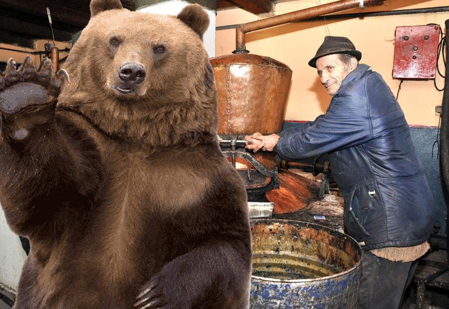 Așa da! Un urs a intrat în gospodăria unui român și l-a ajutat să facă țuica