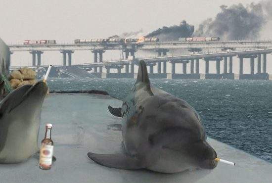 Iată vinovații! Delfinii militari ruși au ieșit la o țigară în loc să păzească podul